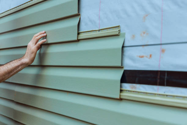 Best Custom Trim and Detailing for Siding  in Britton, SD